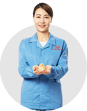 mg冰球突破(中国)官方网站